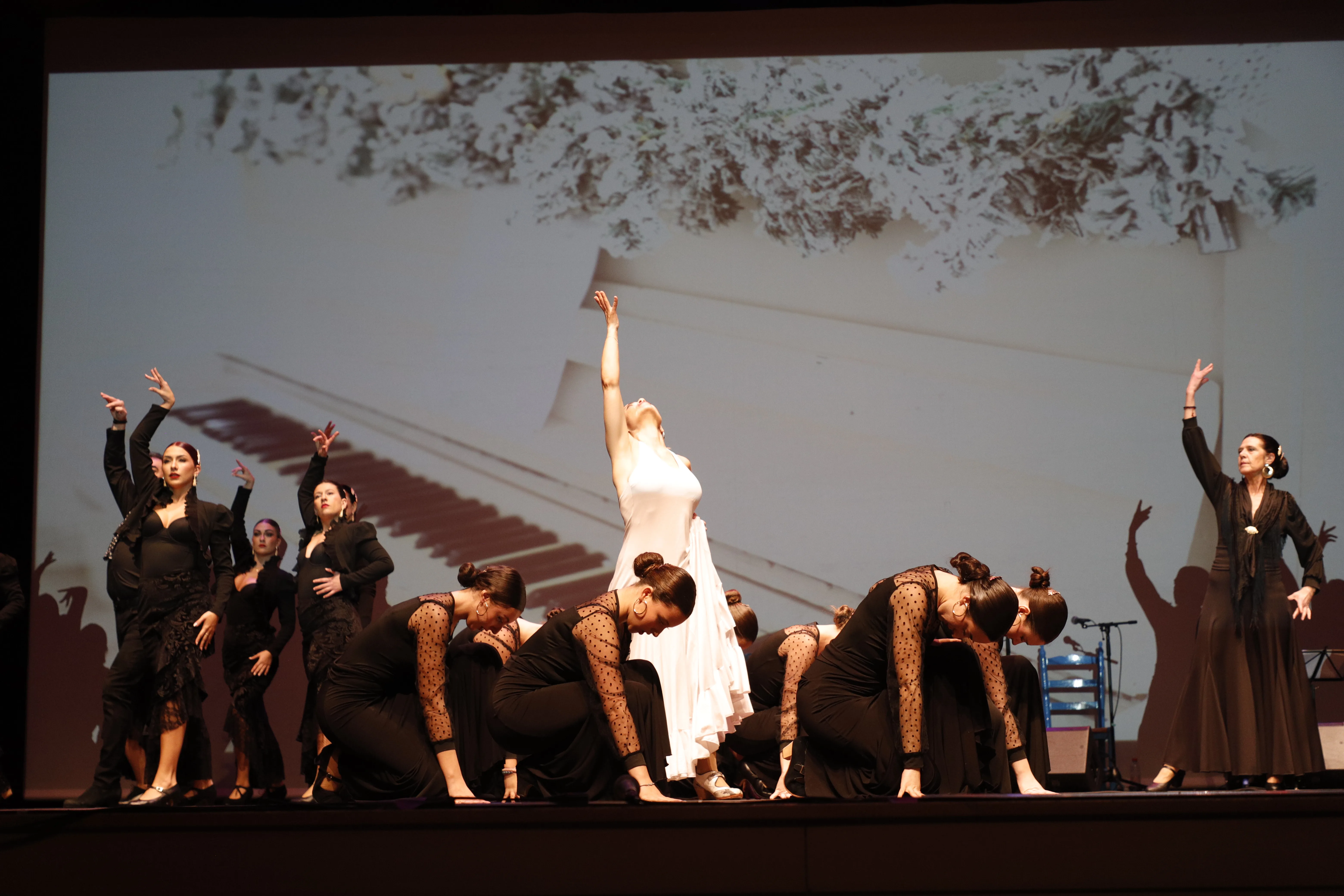 Cristina Cortés Flamenco