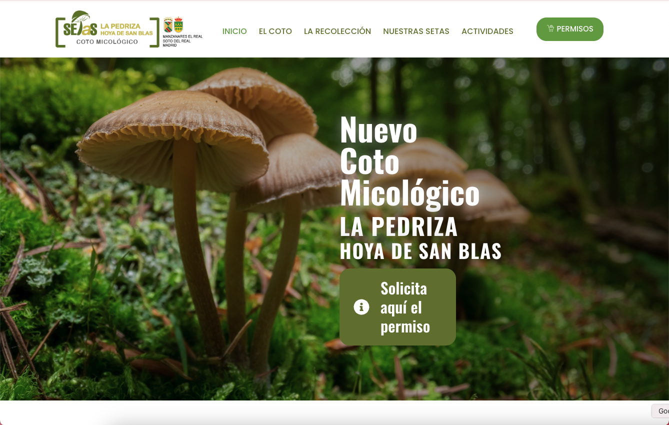 diseño web Móstoles 7