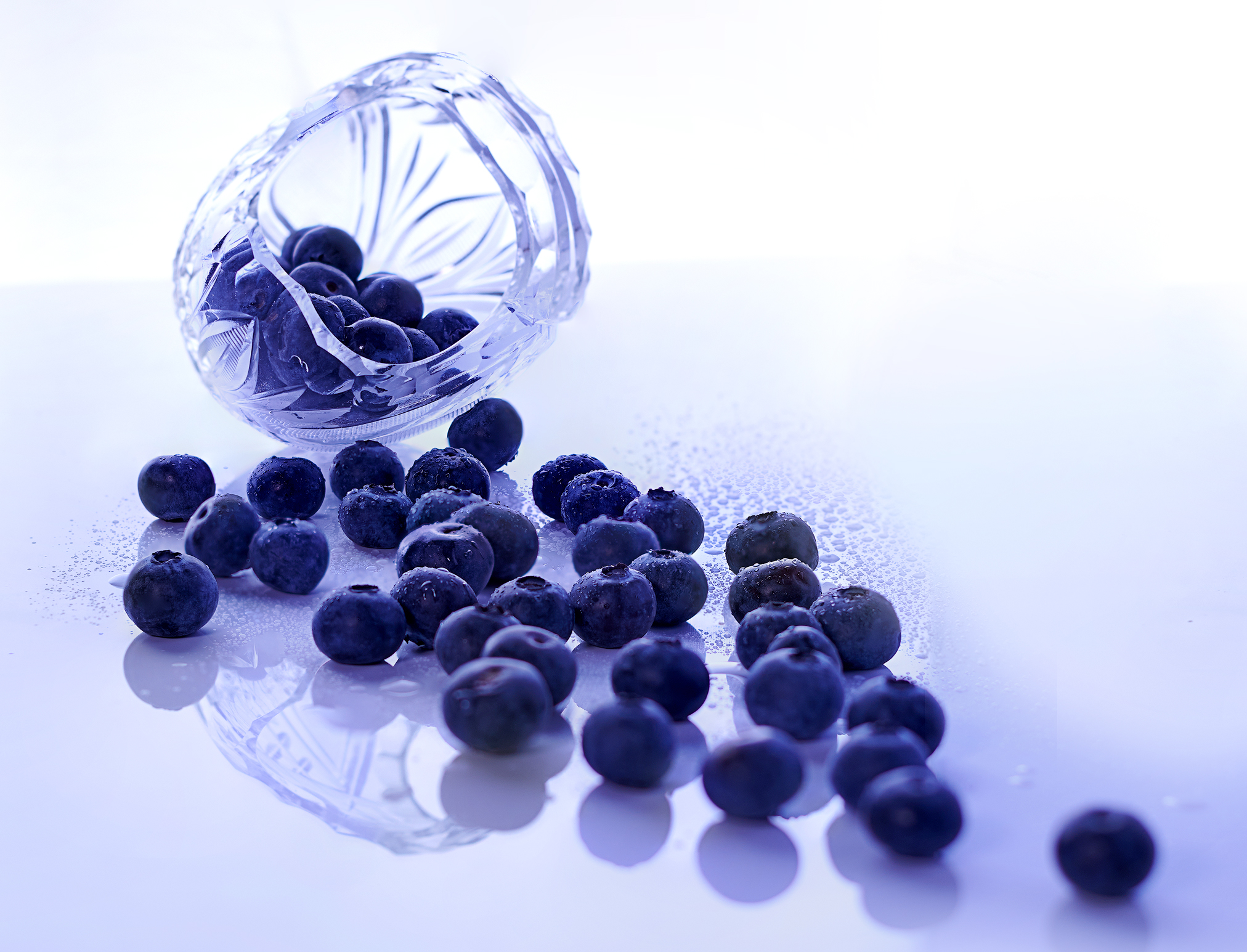 fotografo gastronomico